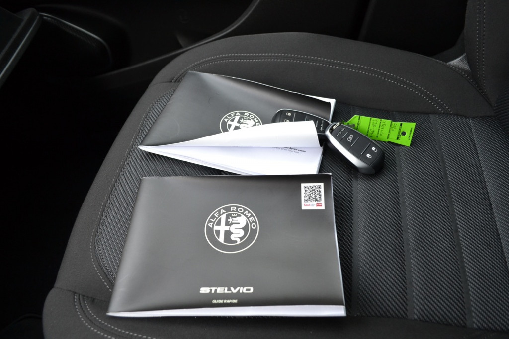 Alfa Romeo Stelvio 2.2 JTD Super BTW auto 49752826-25.jpg | Autobedrijf Vieto